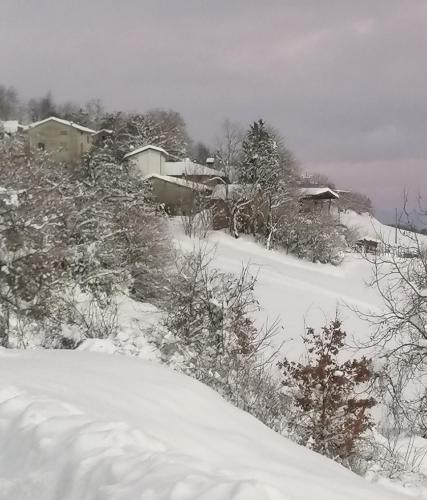  CASA STEFANIA, APPARTAMENTO IN COLLINA in Salsomaggiore Terme