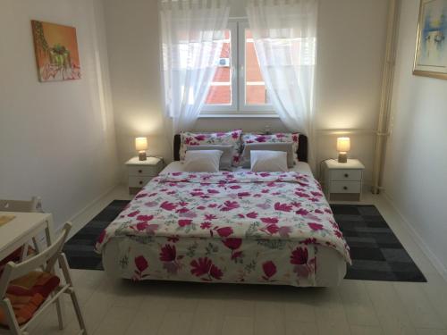 B&B Bjelovar - Studio apatrman Pijalović - Bed and Breakfast Bjelovar