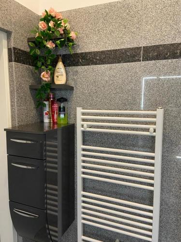 New cozy Apartment, Top location, 12 min to center, Vídeň (fotografie 8)
