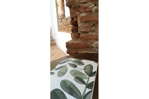 STUDIO CHARMANT-CONFORT-HYPERCENTRE-METRO-WIFI, Tolosa (foto 10)