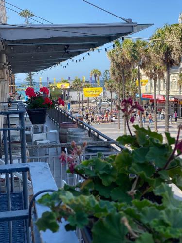 balkon/taras, Boardrider Backpackers and Budget Motel in Sydney