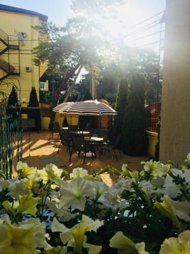 Iva Guest House - image 9