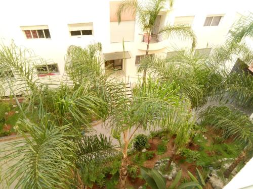 Apartment with Terrace, Casablanca (foto 5)