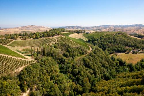 PODERE RIOSTO - Vini e Agriturismo