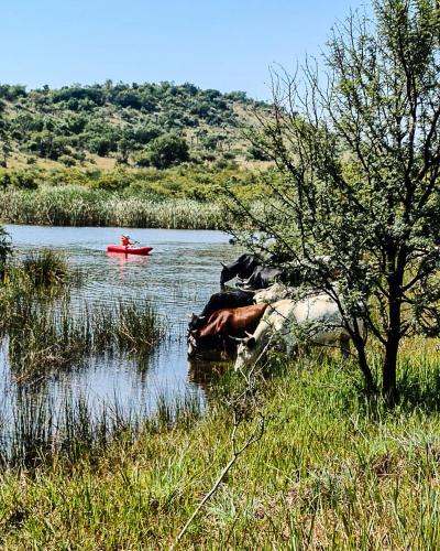 Lodge @ Bankenkloof Private Game Reserve