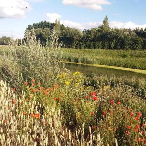 Little Owls Nest Holiday Home Little Owls Nest Holiday Home