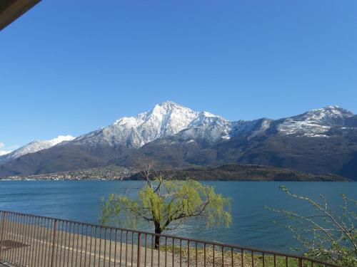 Lake Como Beach Lodge & Hostel - image 4