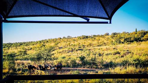 Buffalo House @Bankenkloof Private Game Reserve in Tierpoort