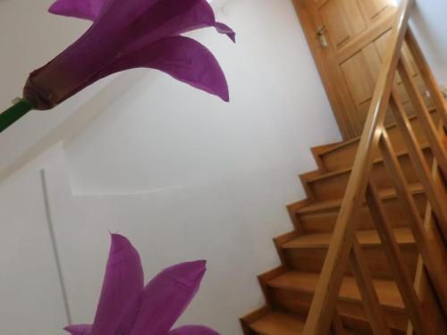 Shoofeet apartment Split one step away from the main promenade