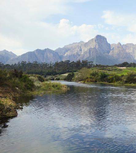 The Farmstead The Farmstead