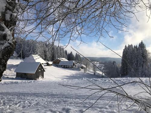 Höhengasthaus Kolmenhof an der Donauquelle