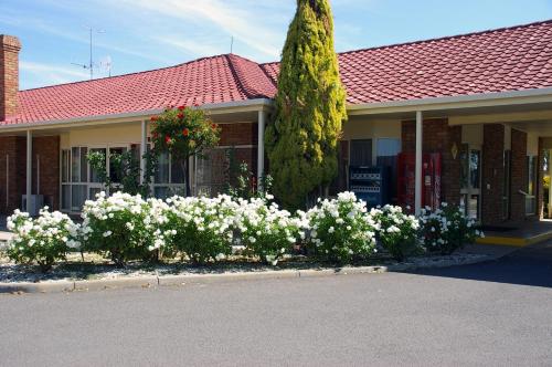 المرافق, Pines Country Club Motor Inn in شيبارتون