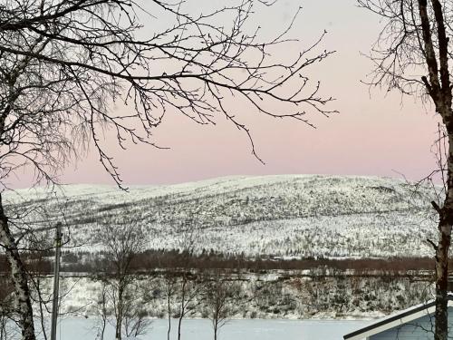 Villa Arktika porealtaallinen mökki Nuorgamissa Tenojoen ja tunturien vieressä