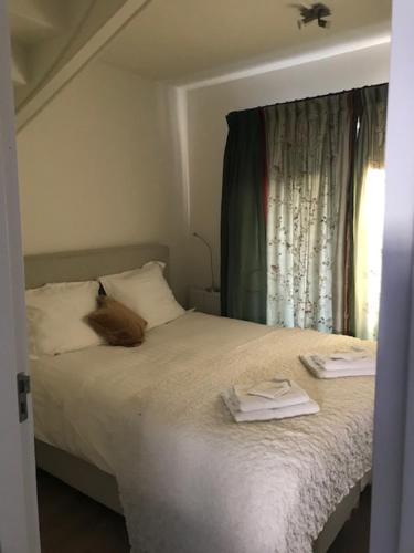 Hart van Lochem - image 8