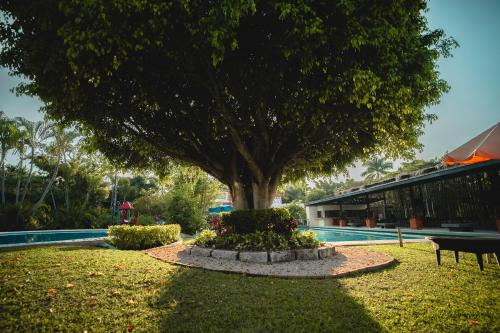 Hotel Quinta Moctezuma - image 6