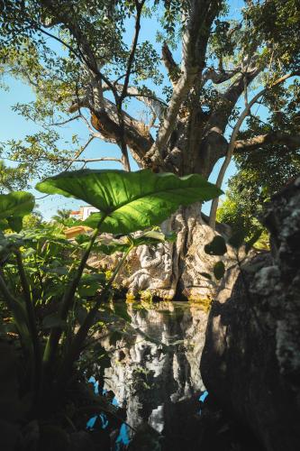 Hotel Quinta Moctezuma