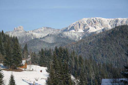 Csermely Panzio in Marosfő