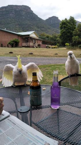 Halls Gap Valley Lodges