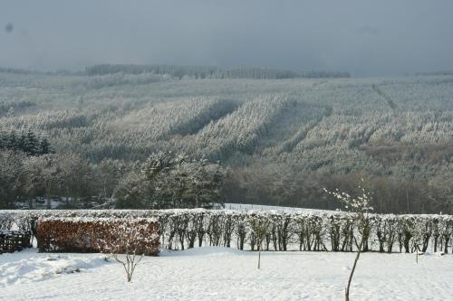  The View in Francorchamps
