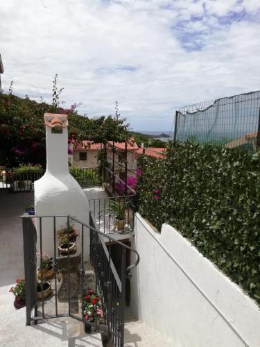  Appartamento Bouganville in Magomadas