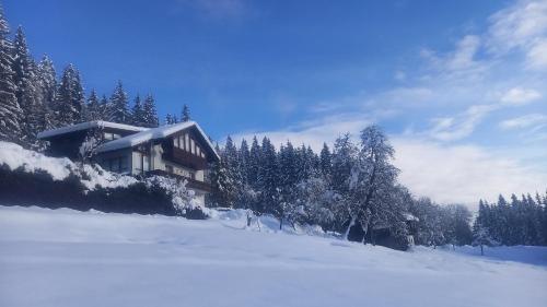 Exterior view, Ferienhaus Waldhof in Hermagor