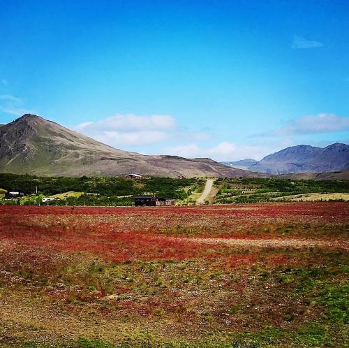 Hekla Nordicabin - Wild Cottage in เฮลล่า