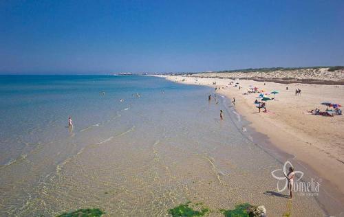 Your home in Ragusa