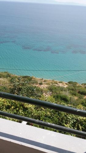 Blue View - image 10
