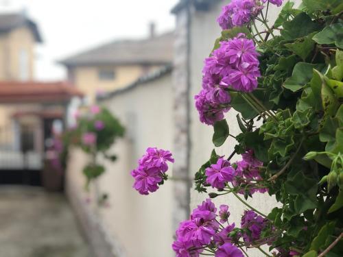 Guest House Pri Germanetsa - image 2