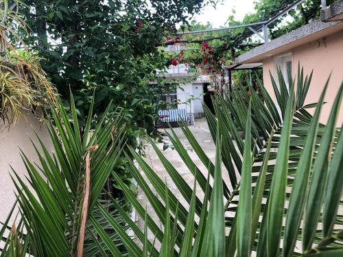 Guest House Pri Germanetsa - image 8