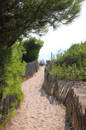 Salines - Eurosurf - image 2