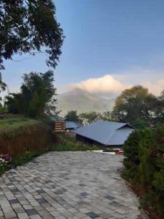 Ottway Hills Near Mattupetty Dam