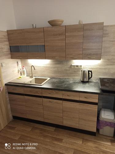 Cocina, Apartmán BON (Apartman BON) in Horni Becva