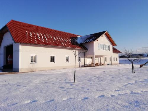 Landhaus Schaidreith - Apartment - Ferschnitz