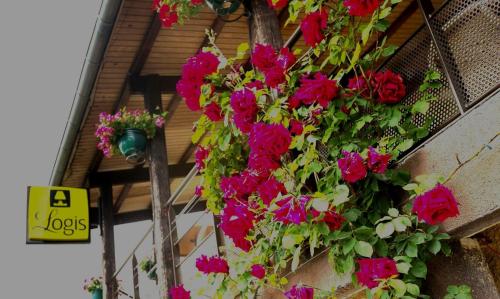 Hôtel Belle Vue - image 11