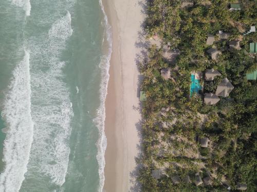 Cayena by Masaya Collection, Guachaca (Foto 7)