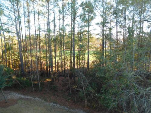 Arbor Trace Condo #635 - image 14