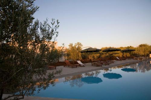 Pignata – Fasano, AR