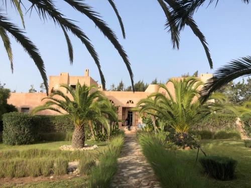 Dar Maha - Amazing villa - pool 15x5M can be heated