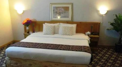 Standard Single Room image 4