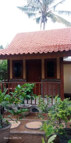 Nita's Homestay Banyuwangi