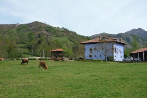 Hotel Rural Sucuevas - image 3