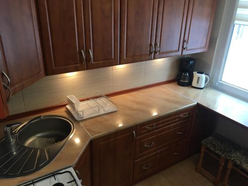 Apartament 6 osobowy, Szklarska Poręba (foto 10)