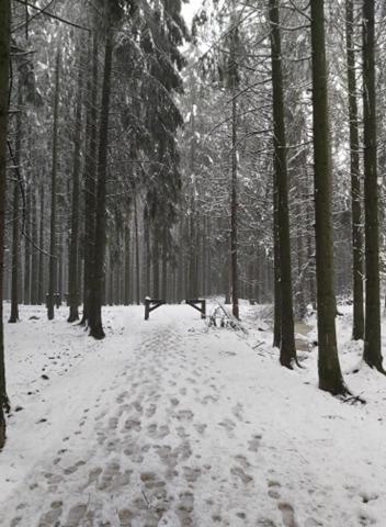 Le refuge Ardennais