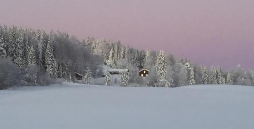 Bakgården i Revsund