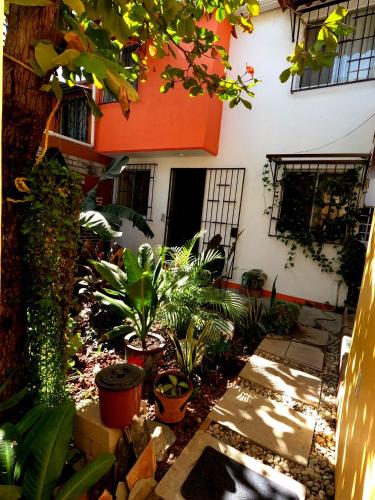 Casa Lomas del Marinero Internet Starlink SIN GARAJE in Puerto Escondido