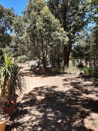 Kert, Mundaring Bed and Breakfast in Mundaring