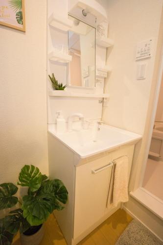 ヒルトップ箱根入生田202 ヒルトップ箱根入生田202