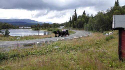 Bergfosshytta 1 sør Geilo