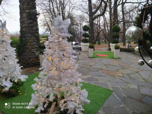 La Selvetta bed and breakfast - image 4